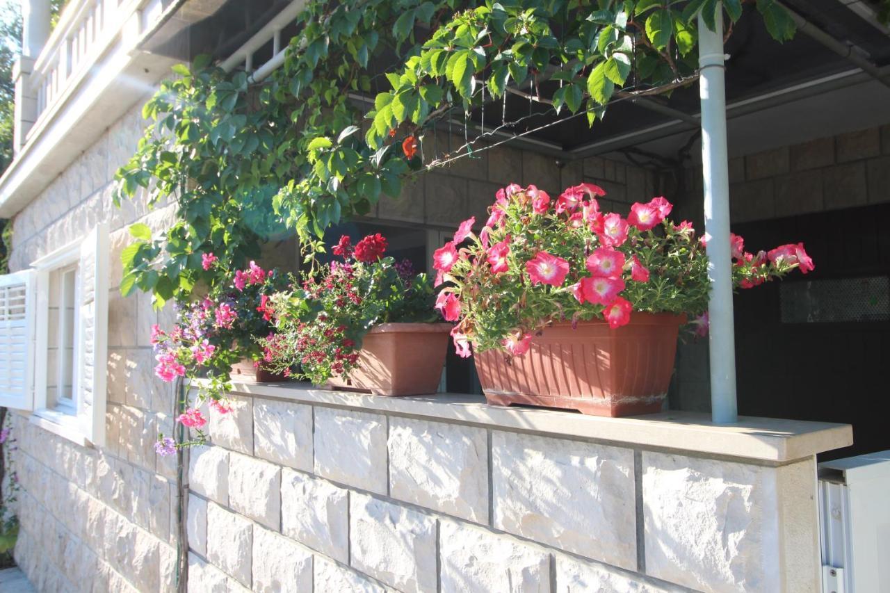 Apartment Ruzica Zrnovo Buitenkant foto
